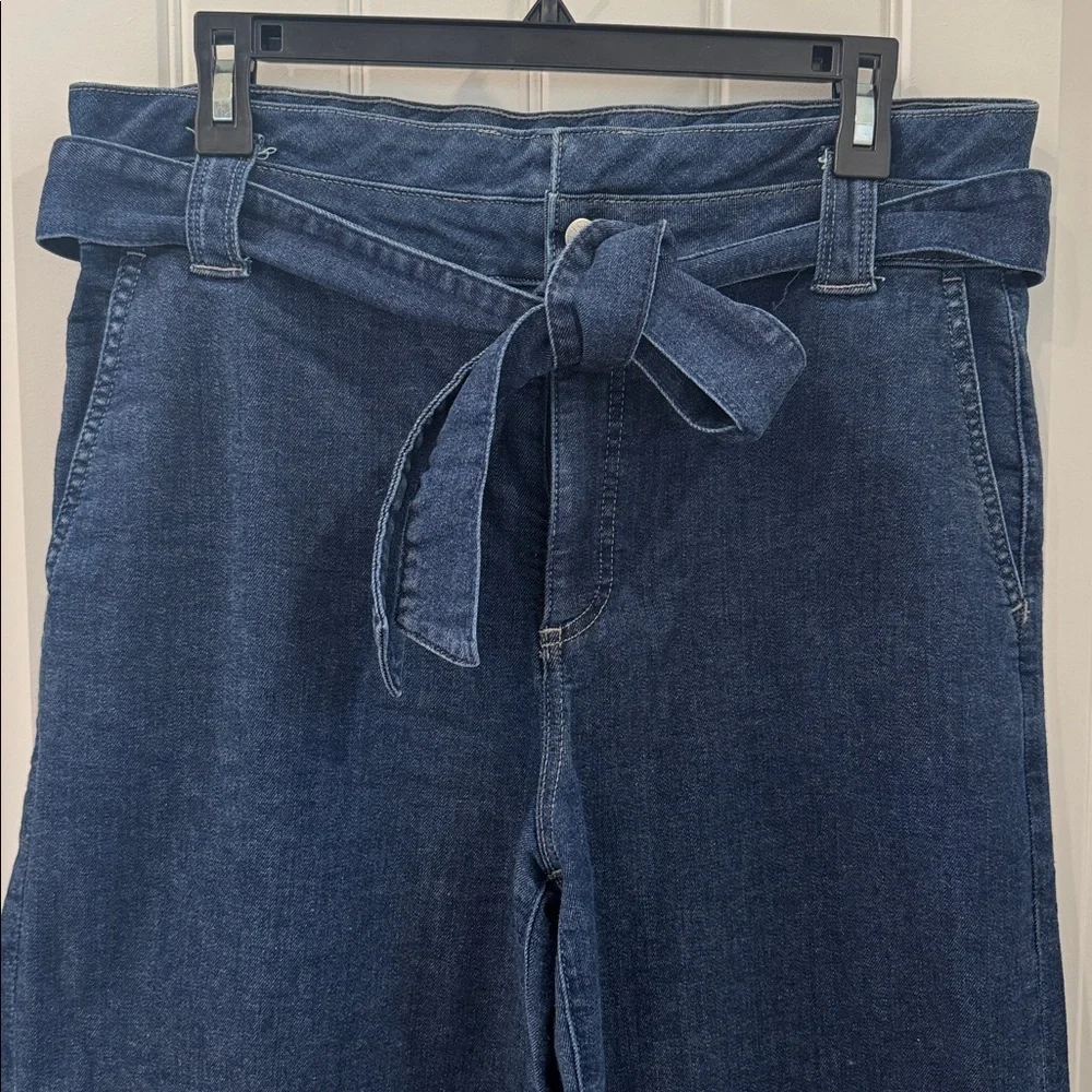 J Crew Wide Leg Belted Trouser Jeans Size 29 EUC $148 KL